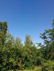 Balatonakarattya
