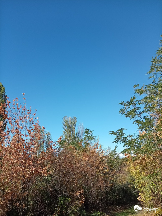 Balatonakarattya