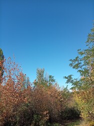 Balatonakarattya