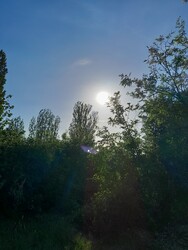 Balatonakarattya