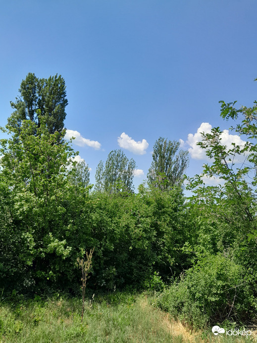 Balatonakarattya