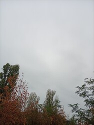 Balatonakarattya