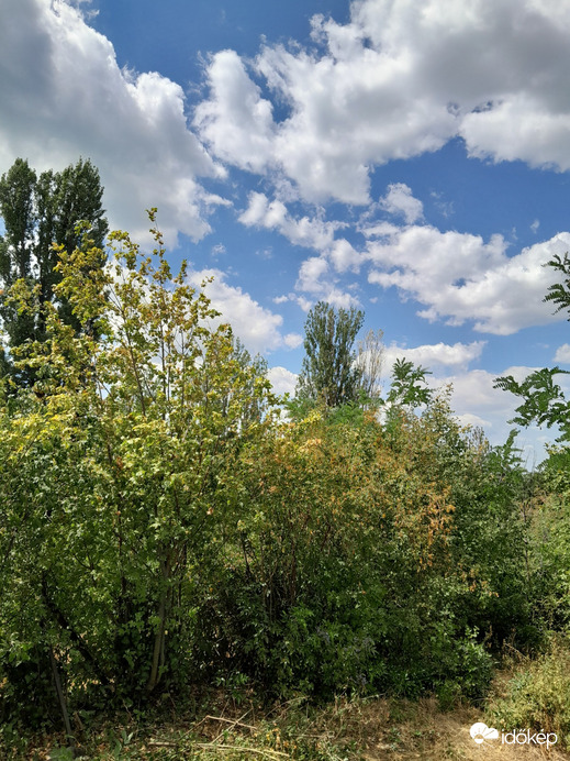 Balatonakarattya