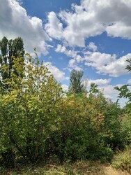 Balatonakarattya
