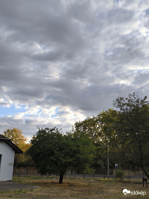 Kiskunhalas