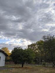 Kiskunhalas