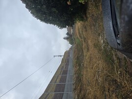 Kiskunhalas