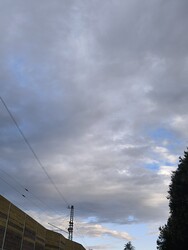 Kiskunhalas