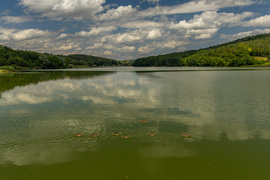 Nyári Szálka
