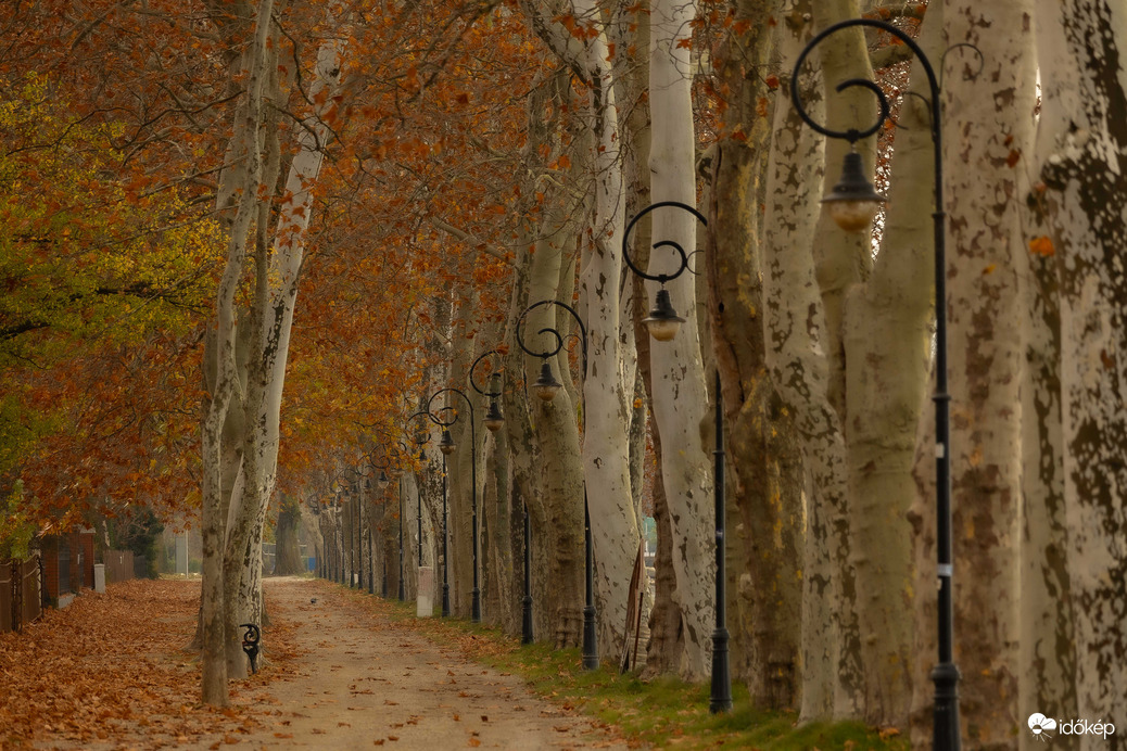 Földváron járt az ősz...