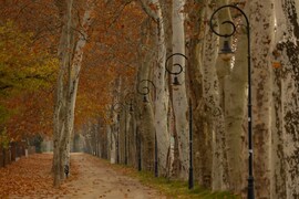 Földváron járt az ősz...