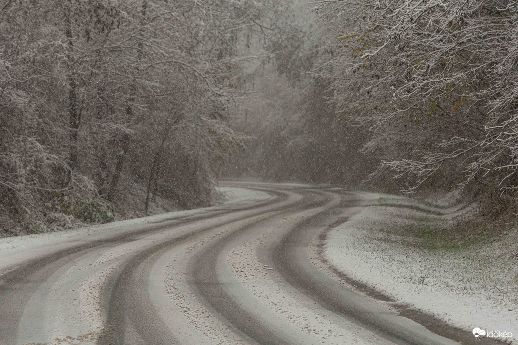 Szálka sűrű havazásban