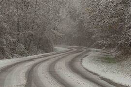 Szálka sűrű havazásban