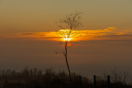 Végre látjuk a napot...