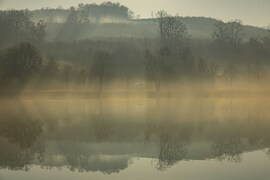 "Tükör által homályosan..." 