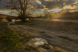 Arcodban látom az arcomat...