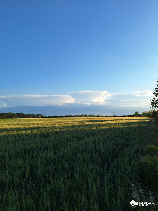 Gyomaendrőd
