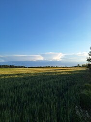 Gyomaendrőd