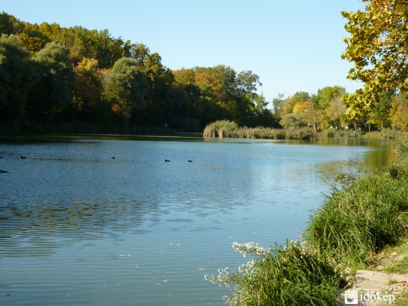 Ősz a Ligetben.