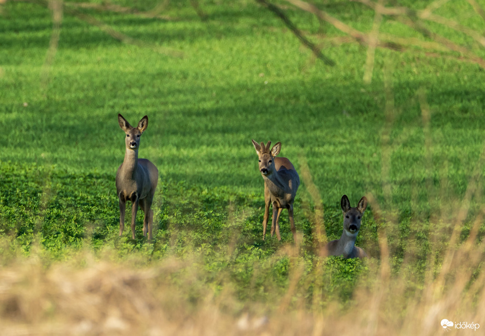 Csodás pillanatok eggyike!