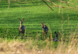 Csodás pillanatok eggyike!