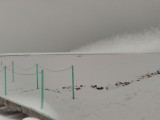 Balatonszabadi