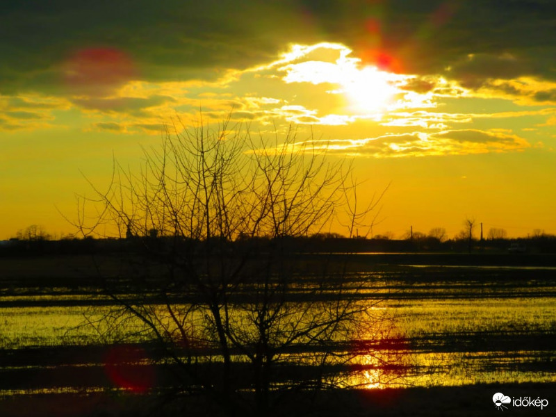 Naplemente a mezőn