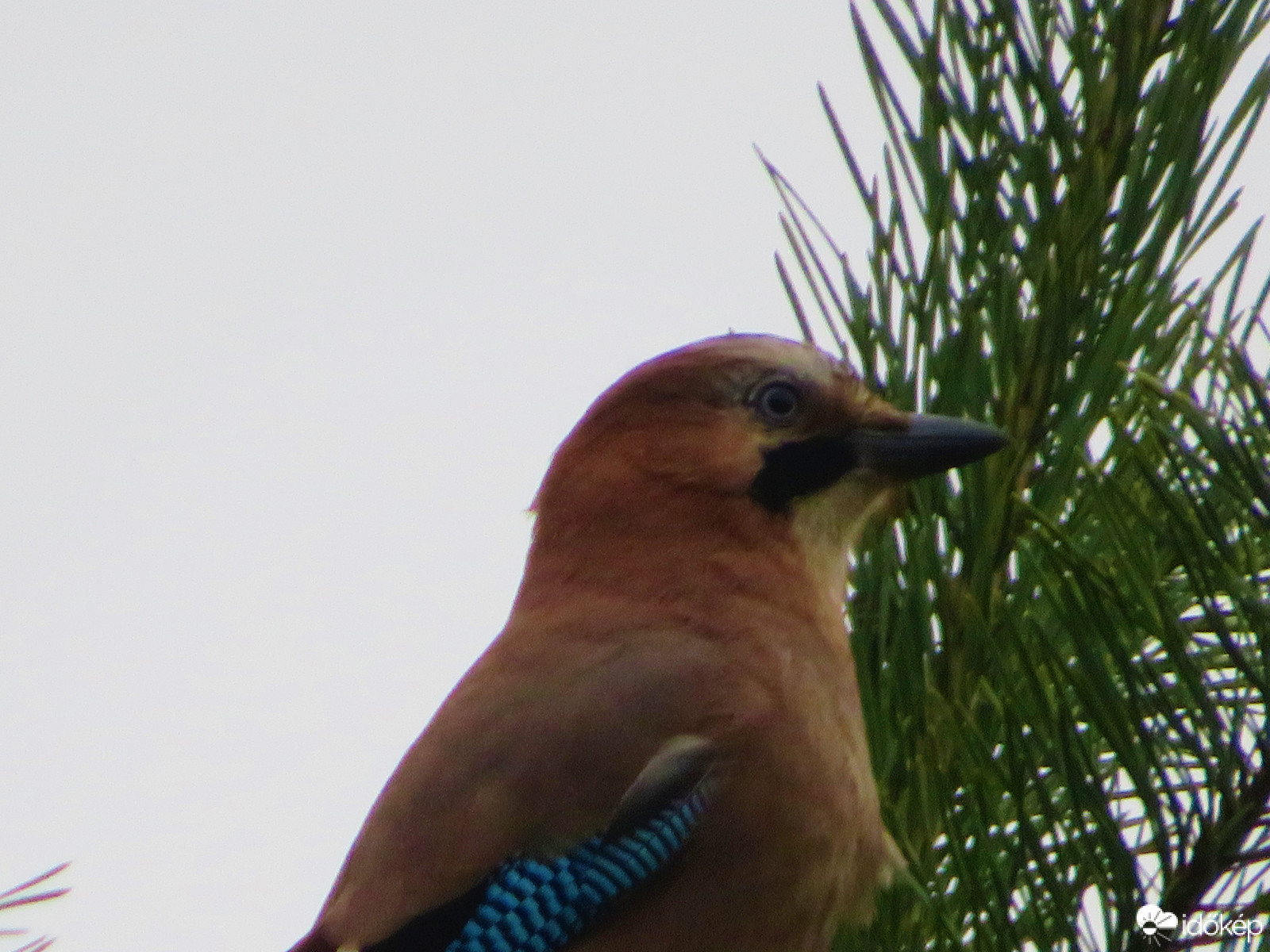 "Szerintem lebuktam"
