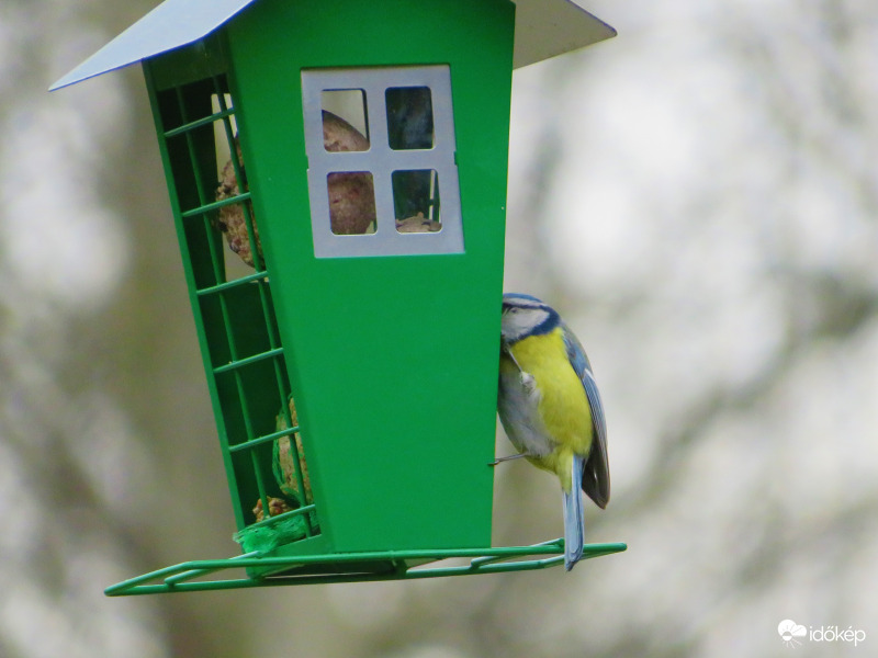 Na nézzünk be ide is
