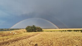 Mezőkövesd