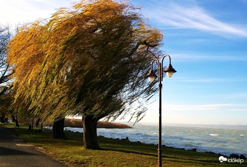 A fények fürdésre csábítanak.