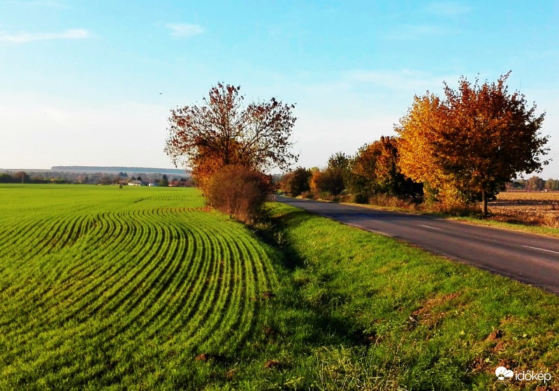 A természet körforgása