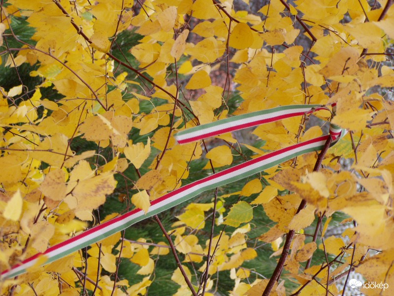 A forradalomra emlékezve