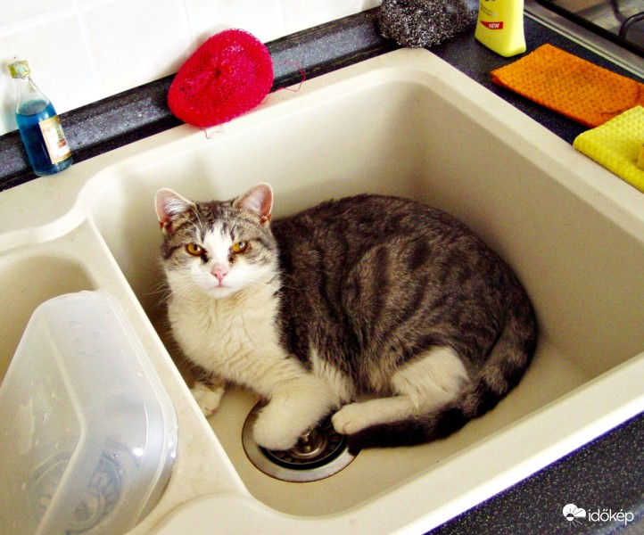 Elmosogattam, most hűsölök!