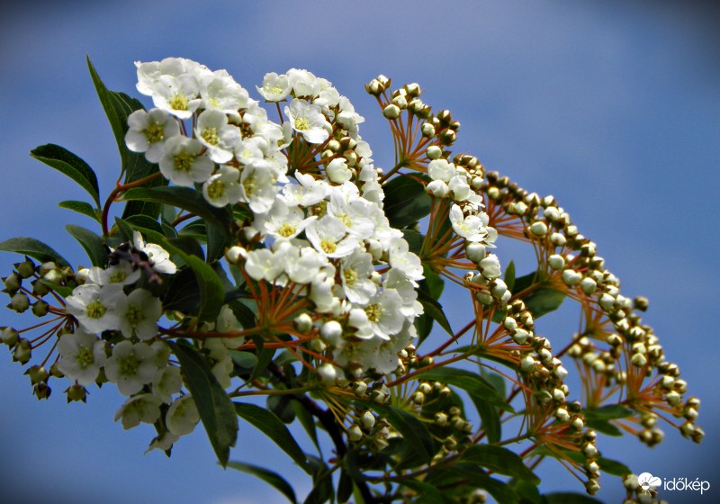 Gyorsan "tavaszodik"