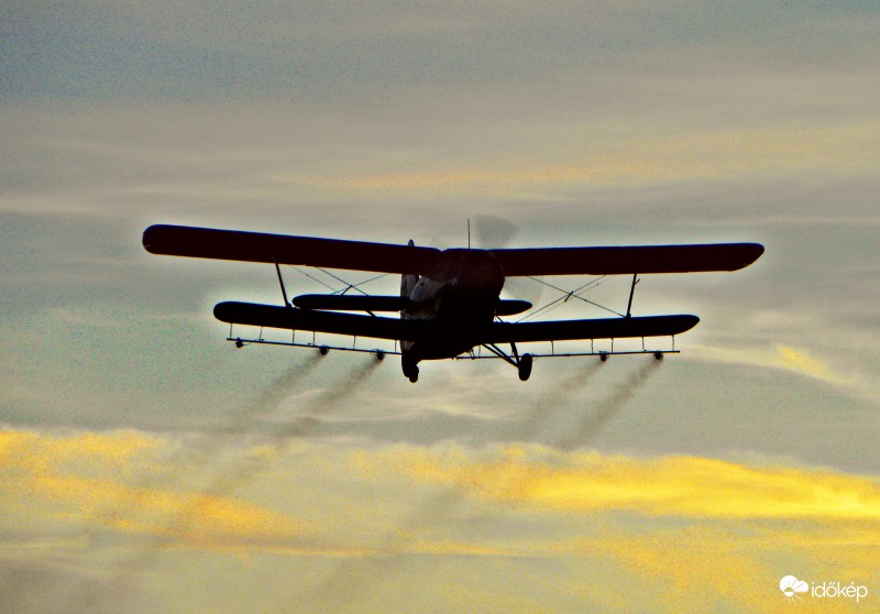 Esti szúnyogírtás