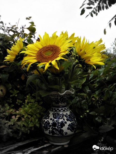 Virágcsokor az esőben