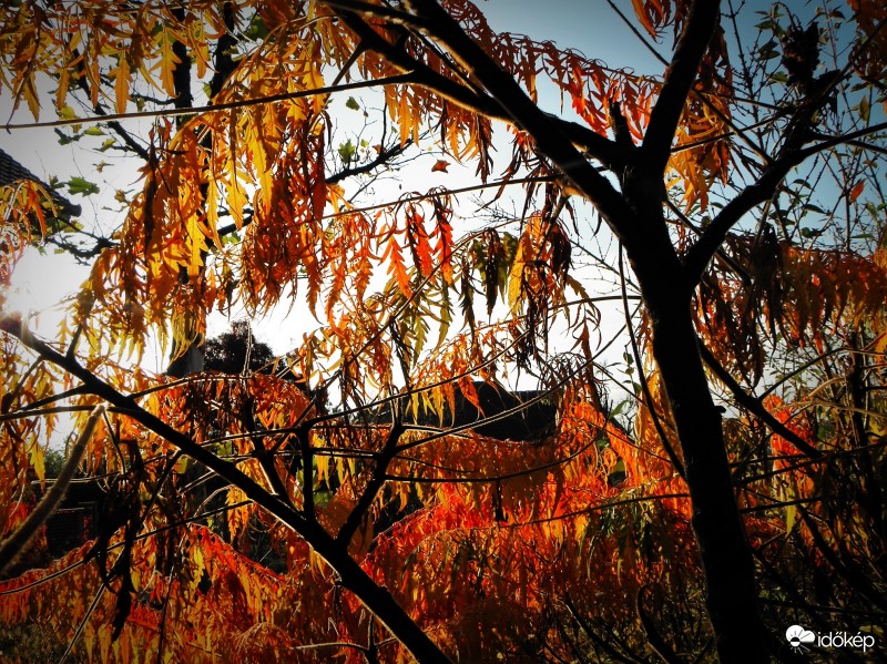 Ránk borult az ősz