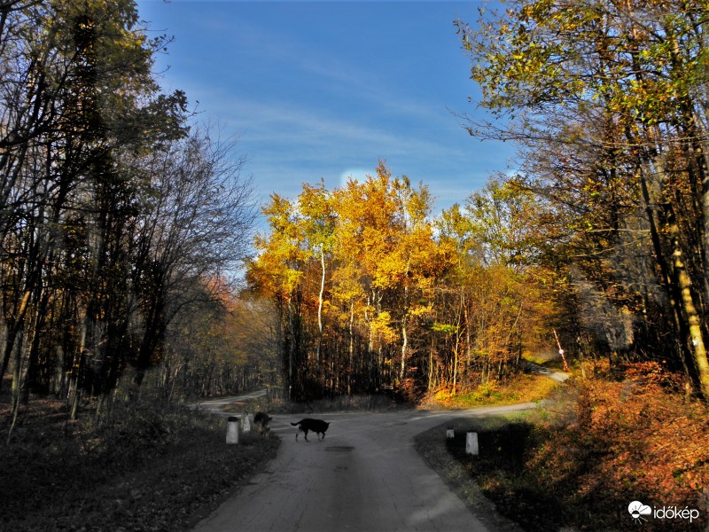 Keleti-Mecsek Pusztabánya