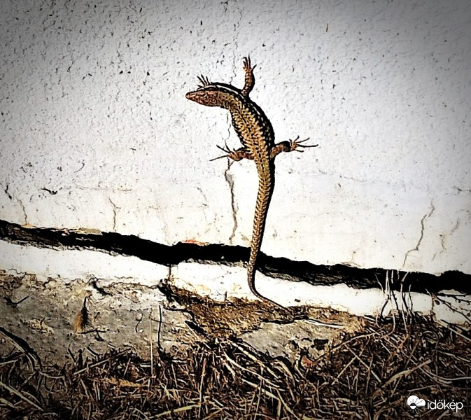 Novemberi feltöltődés