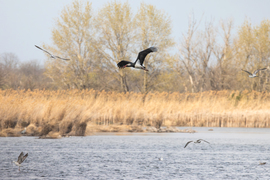Ezt a látványt napokig nézném... Szoktam is...