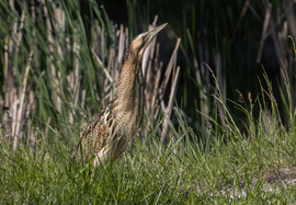 Láthatatlan vagyok...