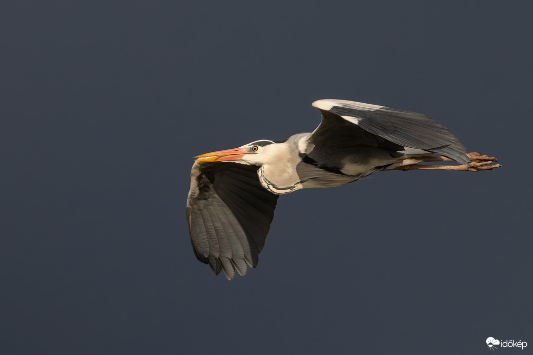 Amikor minden összeáll...