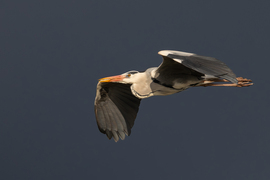 Amikor minden összeáll...