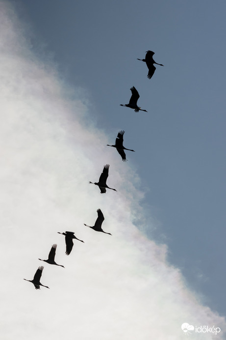 Vándorsziluett...