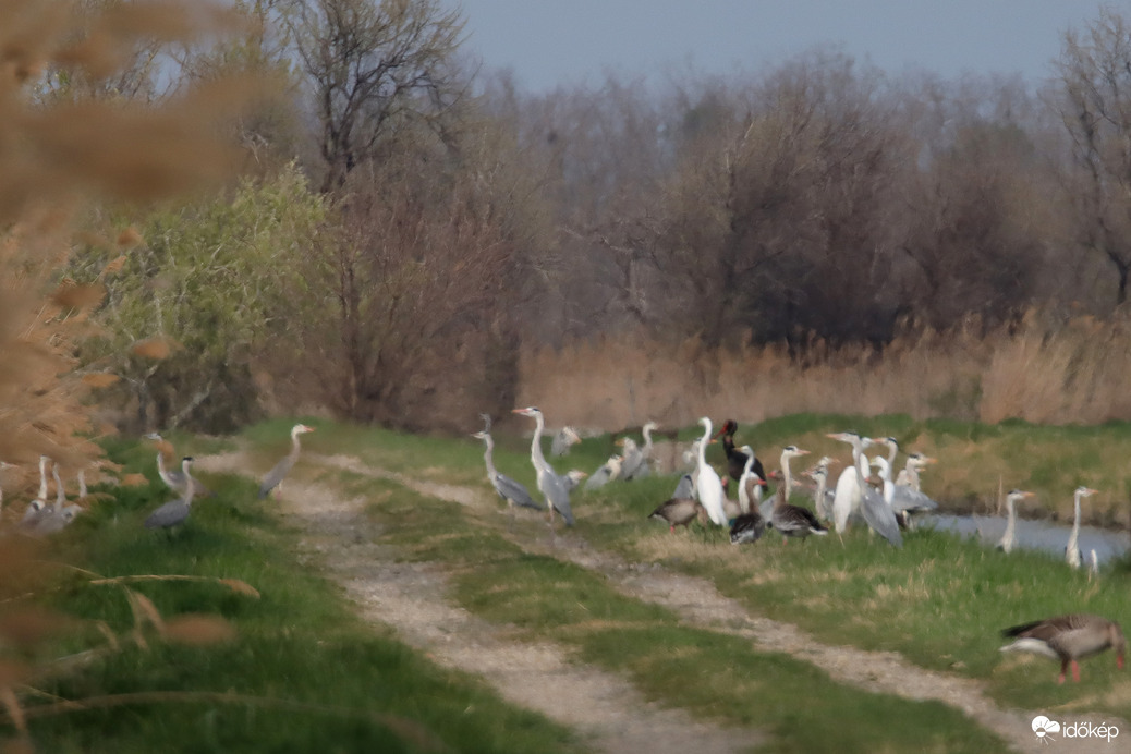 Homályos kép nincs...