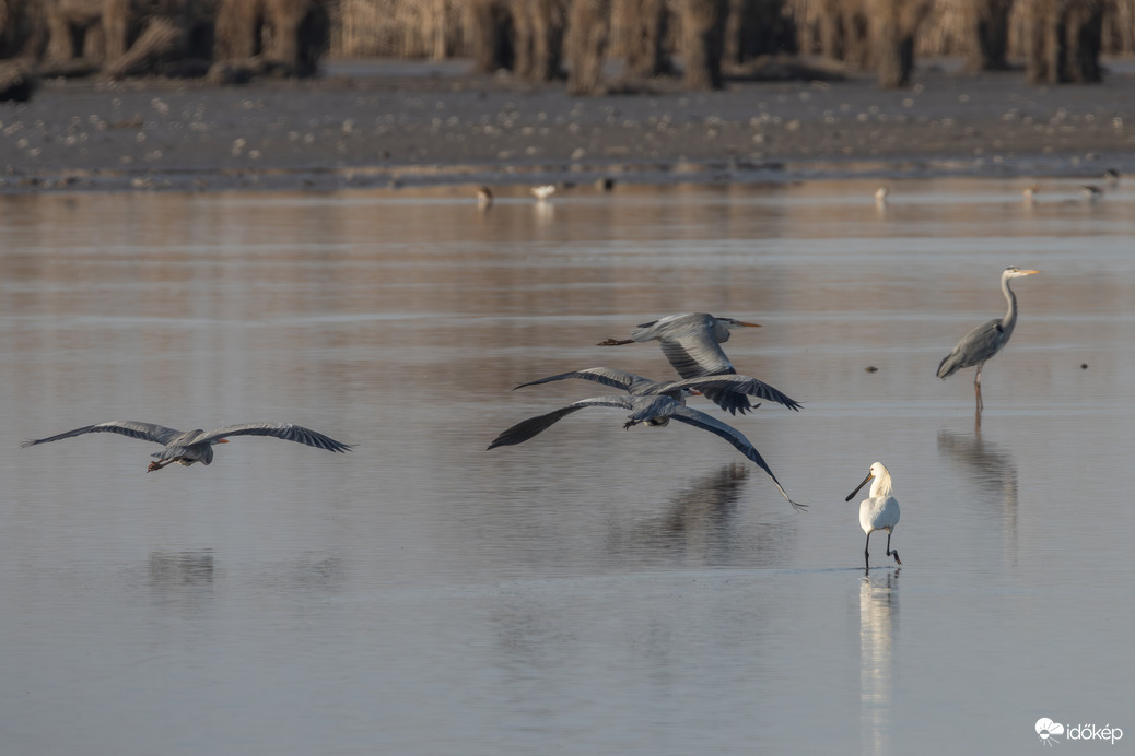 Mik ezek a szürke öltönyösök?!?