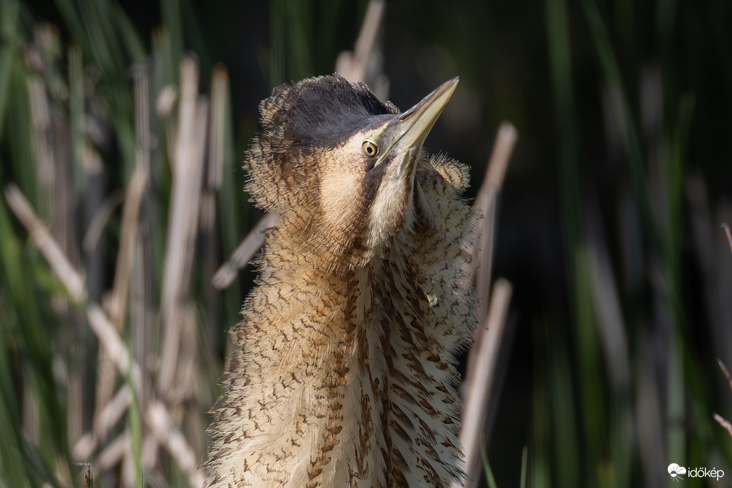Két hónapja fúj a szél...