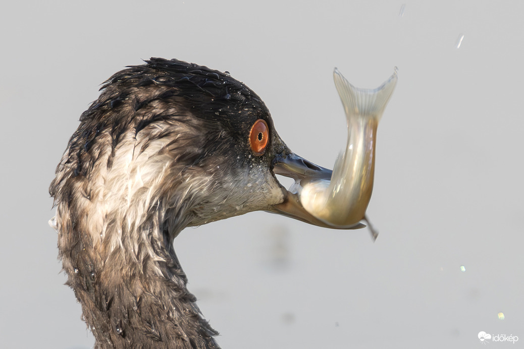 Azért halat is fogtam