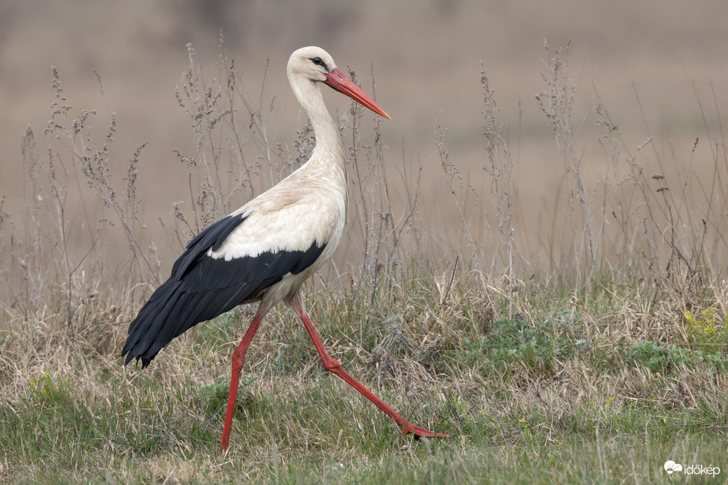 Aki szép az szép...